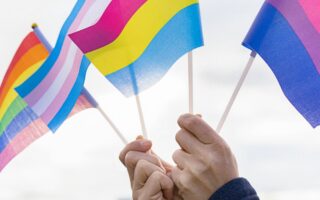 Problems with government posts on Pansexual Pride Day