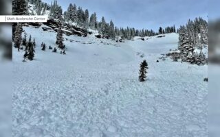 Utah siblings survive avalanche after one pulls another from buried in snow