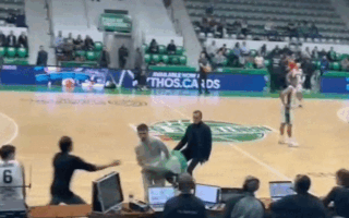 Pro-Palestinian activists storm basketball court during Israel-France game.