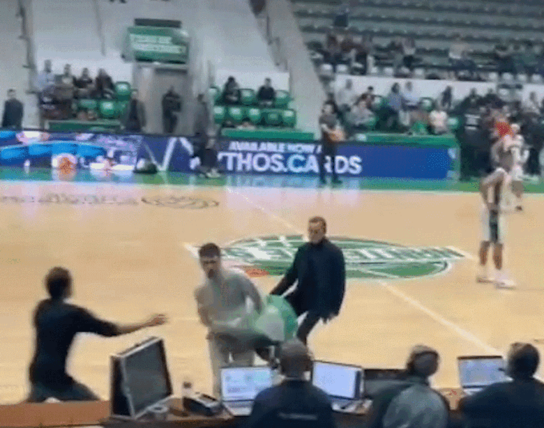 Pro-Palestinian activists storm basketball court during Israel-France game.