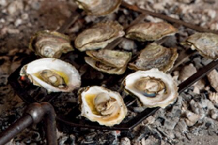 in south carolina Christmas means oyster roasting: ‘a beloved delicacy’