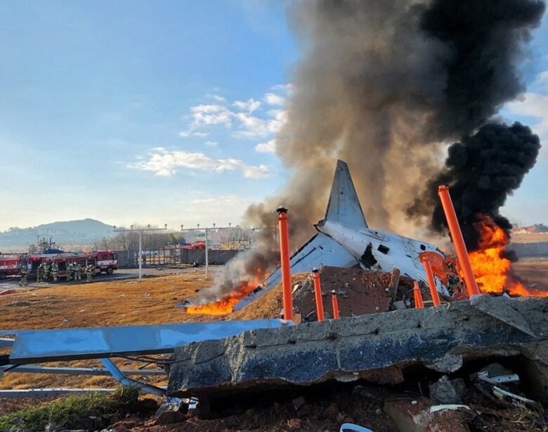 Eyewitness to South Korean plane crash describes sparks in engine Birds strike before colliding