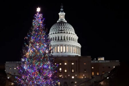 Trolling around the congressional Christmas tree: Lawmakers pass bill to prevent government shutdown