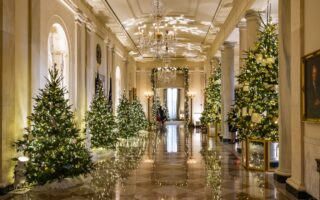 Theodore Roosevelt didn’t display a Christmas tree at the White House while in office, but why?