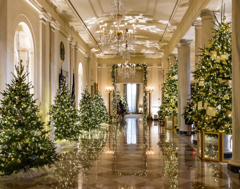 Theodore Roosevelt didn’t display a Christmas tree at the White House while in office, but why?