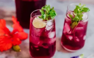 Chá Gelado de Hibisco com Frutas Vermelhas Mais Delicioso!